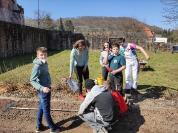 Jugendliche des Jugendhilfezentrums Don Bosco Sannerz bei einer Pflanzschulung